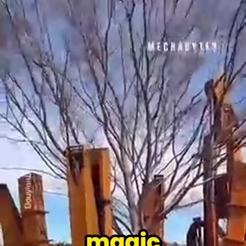 The Ultimate Tree Removal Machine – You Won't Believe How It Works!