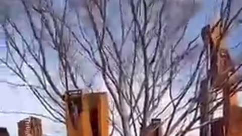 The Ultimate Tree Removal Machine – You Won't Believe How It Works!