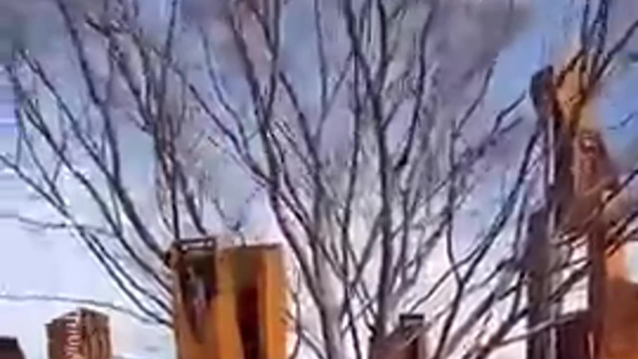 The Ultimate Tree Removal Machine – You Won't Believe How It Works!