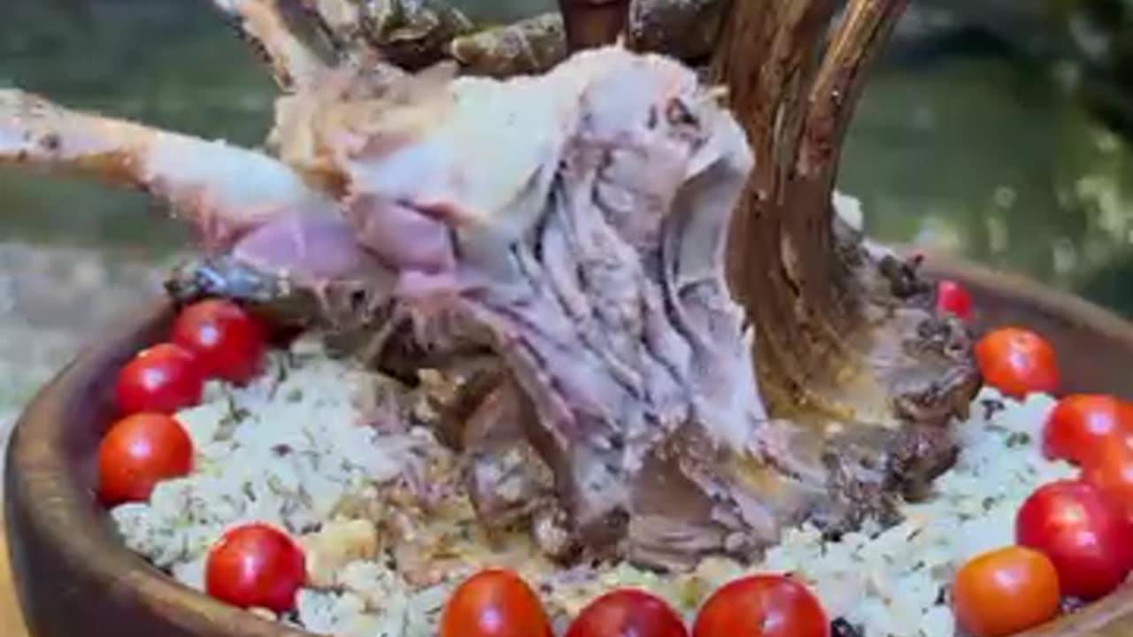 Amazing cooking in the forest, see and join