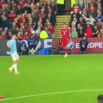 RAT nearly halted the Wales vs Belgium World Cup qualifier in Cardiff