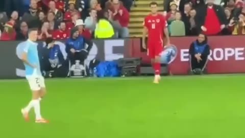 RAT nearly halted the Wales vs Belgium World Cup qualifier in Cardiff