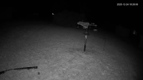 Bird Feeder in Western Maryland USA