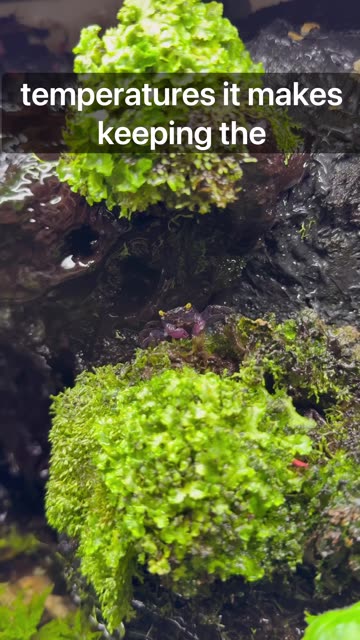 This Is How It’s Done!