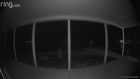 😨👀 Husband Claims It's a Bug, But She Knows What She Saw! | TheHauntingHour