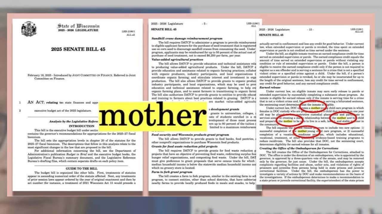 Fact Check: Wisconsin Bill Does NOT Replace 'Mother' With 'Inseminated Person' In All Contexts