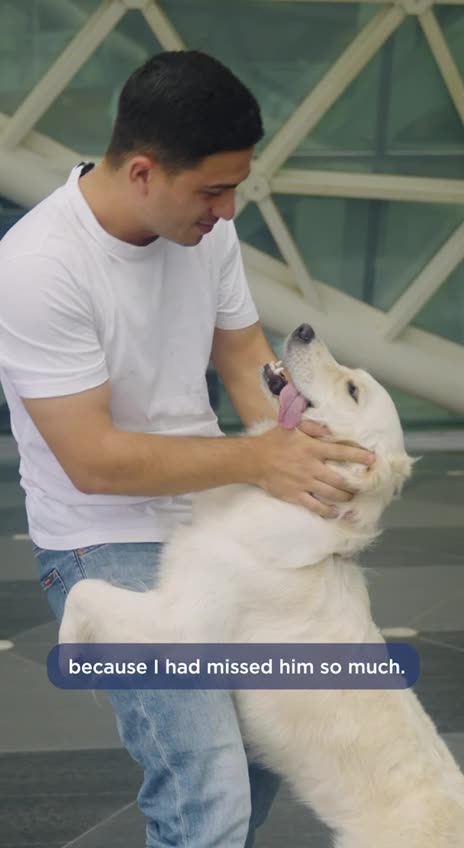 The happiest moment for our furry friends is reuniting with their beloved owners
