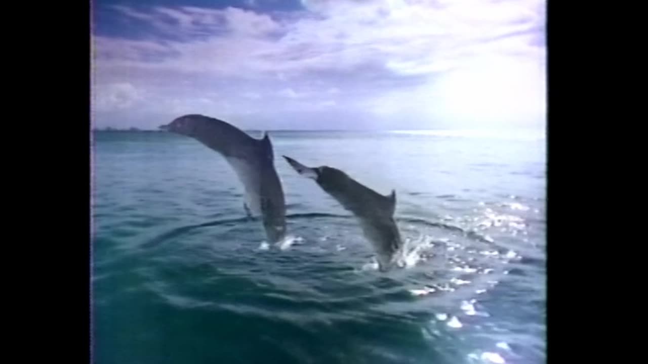 Random Commercials - Vol 65 (1987)