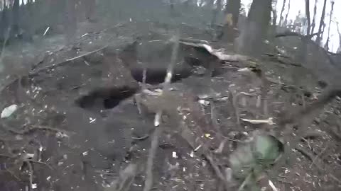 Clearing out a Nazi lair with dead crests