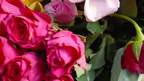 190000 deceased are here. 25000 have no monuments