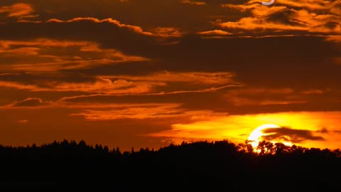 Let the Sunset Talk 🌅 | New Country Song