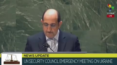 UN Security Council finally gets told by this UN Ambassador