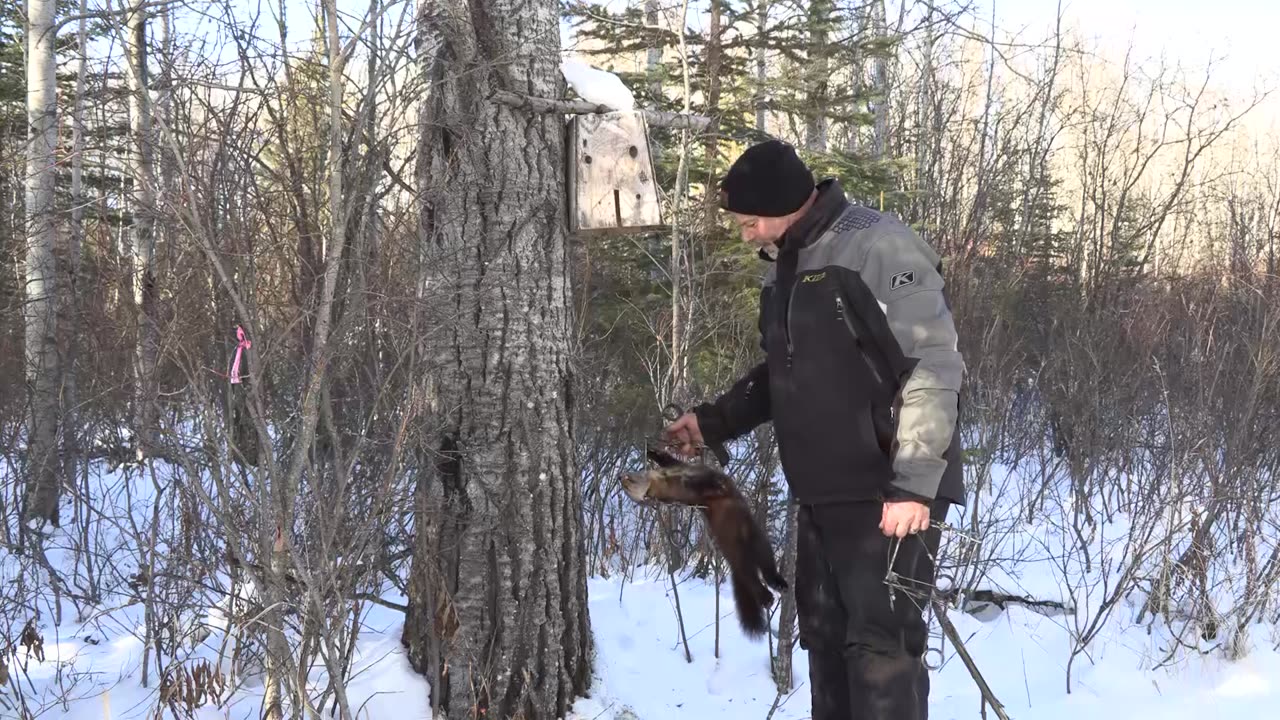 Trapping Inc Season 7 Episode 13 Marten, otter, lynx and Sandi's lake line