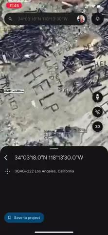 What Is Going On Here?...