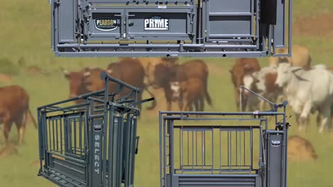 Pearson Livestock Equipment Squeeze Chutes