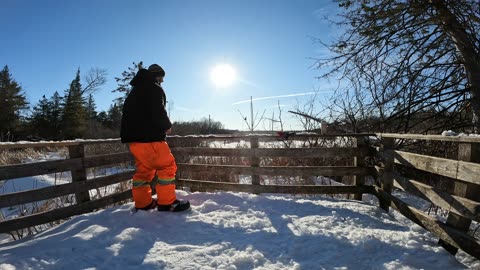 ❄️2025☃️02-28🎿 Feeding The Birds 🐦🐥🐧Winter -22 Edition Hiking Beaver Trails Part 3 In Ottawa 🦫 Ontario🍁Canada 🦧