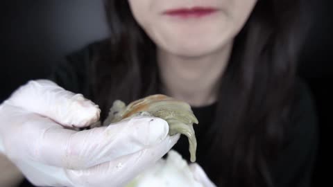 ASMR+ 바위 굴 4KG의 현실 맨날 실패하는 유튜버 Giant oysters growing on rocks