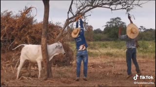 😂🤝 You Won't Believe How This Help Turns Out! | FunFM