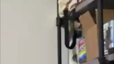 Jersey Reveal! A Surprising Moment Caught on Camera