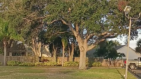 If You Love Me Feed My Sheep 12/19/25