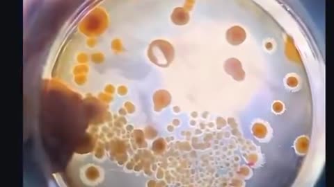 ⚠️EMF's are fueling today’s mold crisis❓