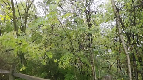 A Casual Autumn Stroll Through Town - Downtown Maryville, Tennessee