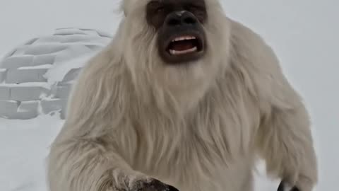 The Weirdest Bigfoot Vlog You’ll Ever Watch