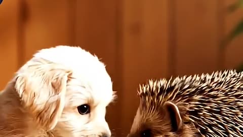 Bird Shares a Snack With a Puppy and a Hedgehog 🥬 AI