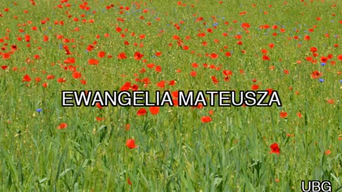 Nowy Testament 1. UBG - Ewangelia Mateusza