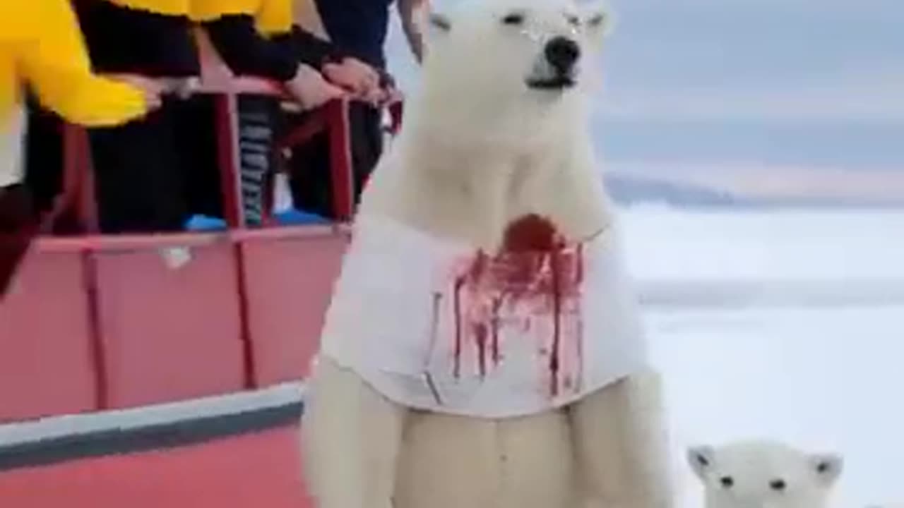"Heartwarming Polar Bear & Cub Rescue – A Fight for Survival!"😭😭