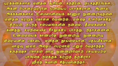 November 29 | INSIGHT | Daily Divine Digest