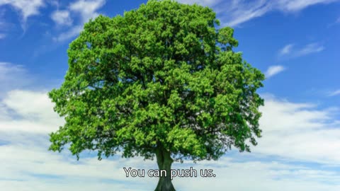 Rise Before the Fall V2