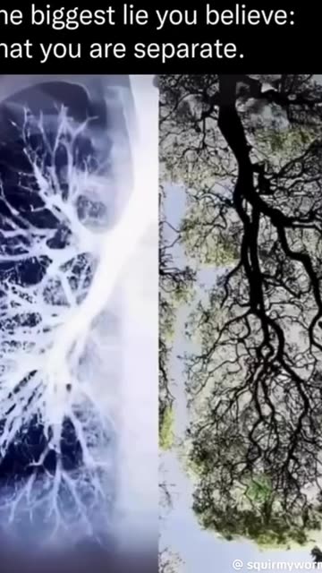 We Are ONE…..❤️