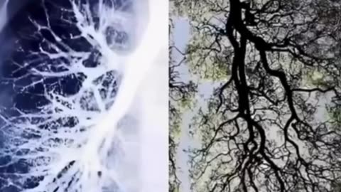 We Are ONE…..❤️