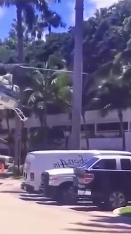 Using a Helicopter to Trim the Palm Tress