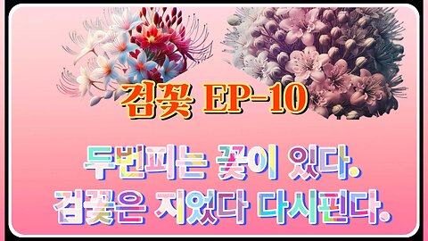 [안정권의 독한썰방] 다시쓰는 검꽃 EP-10 꽃중에 두번 피는 꽃이 있다. Feat.두번피는 꽃 검꽃