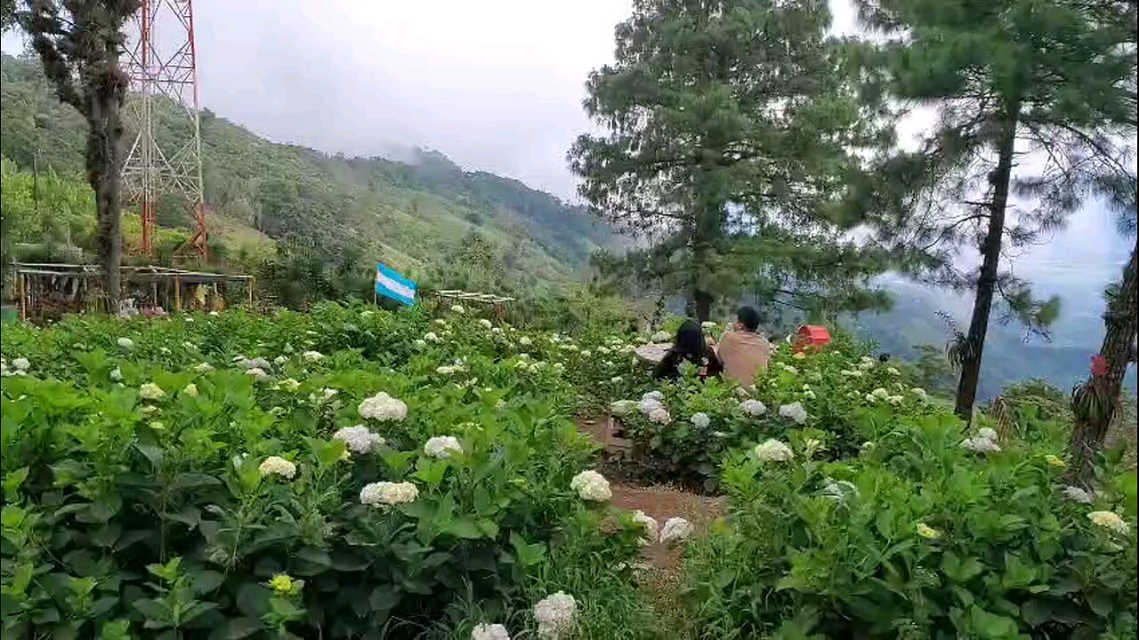 cordillera el merendón