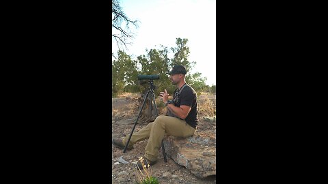 Straight spotting scope