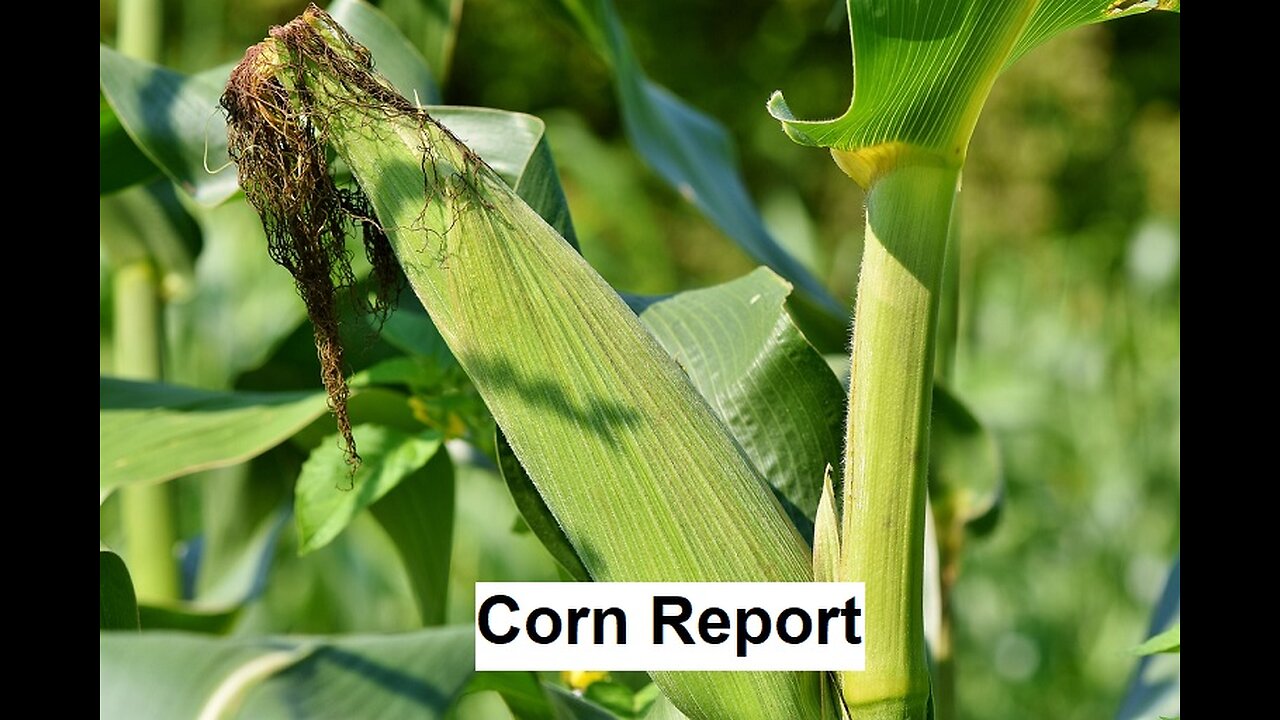 Finding A Bottom Preview