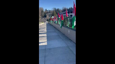 Hamasniks used zip ties to secure Palestinian flags to an overpass above 405 in Bellevue, WA
