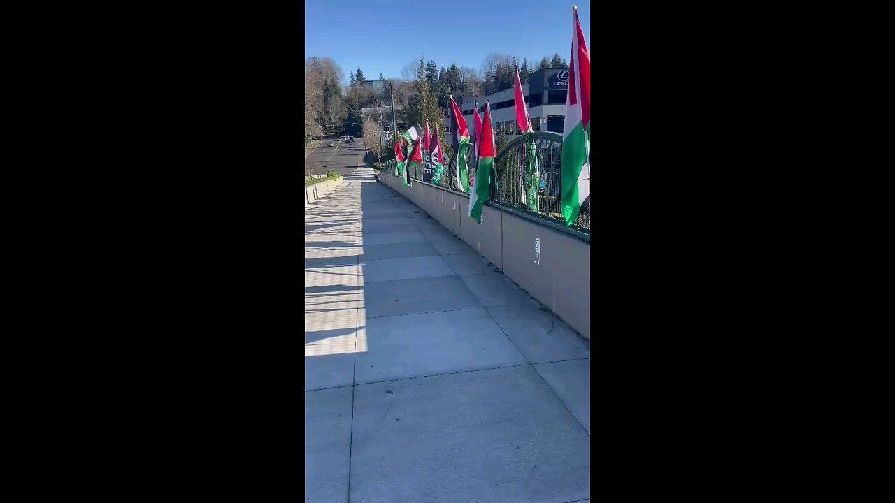 Hamasniks used zip ties to secure Palestinian flags to an overpass above 405 in Bellevue, WA
