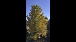 A good day outside