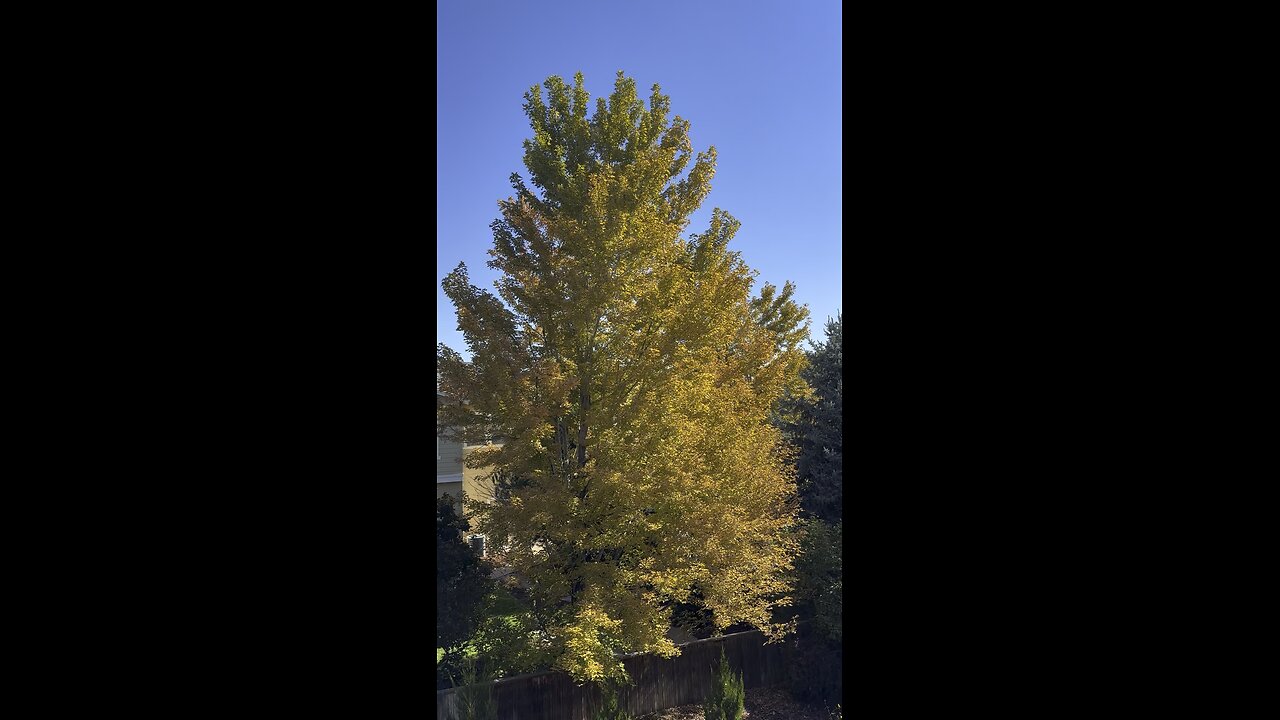A good day outside