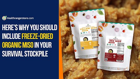 Here’s why you should include Freeze-Dried Organic Miso in your survival stockpile