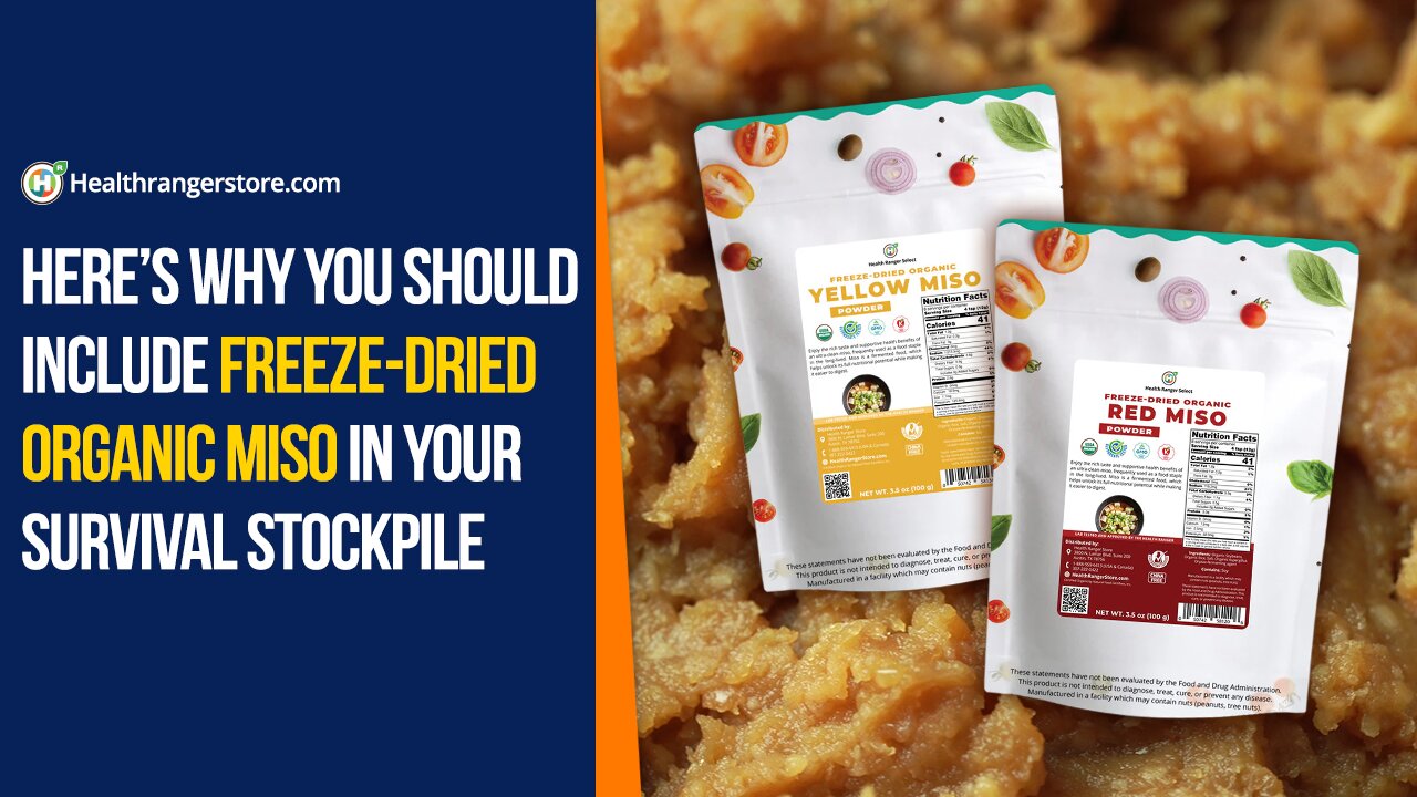 Here’s why you should include Freeze-Dried Organic Miso in your survival stockpile