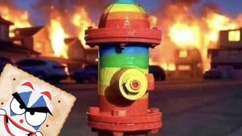 DEI Caused LA Fires ReeEEeE Stream 01-10-25