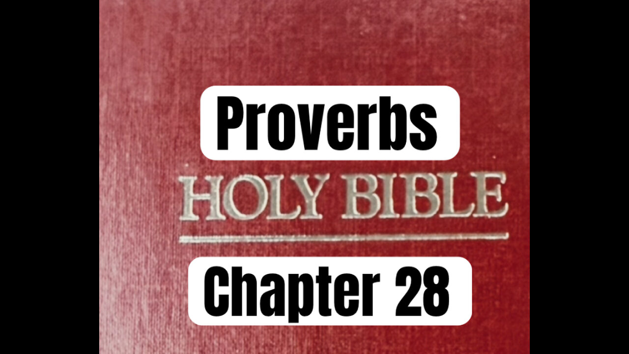 Proverbs Chapter 28--Bible Reading