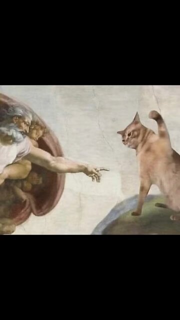 Men are dogs women are cats