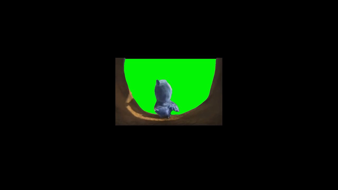 Sunshine Rio | Green Screen