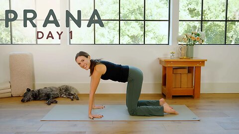 Prana: A New Dawn - Day 1